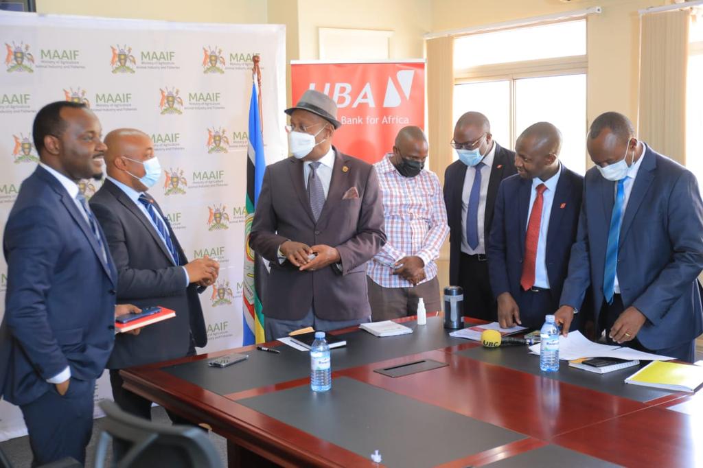 In the second season, 50% is contributed from Government and 50% from the farmer and in the third season, 33% from the farmer, 67% from Government. By the fourth season, the farmer is expected to have a self-sustaining agro-enterprise and therefore no need for government suppor