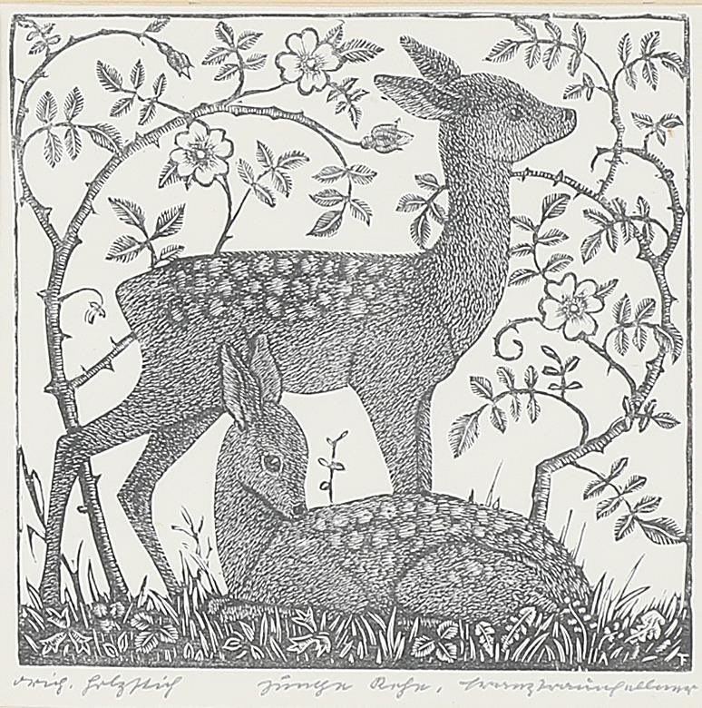 Franz Traunfellner (1913 - 1986) - Young Deer. 1943. Wood engraving on paper. 