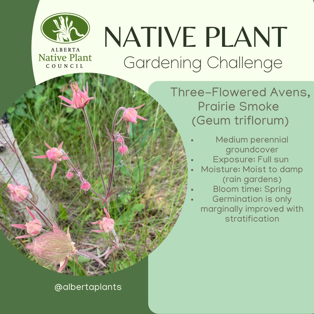 There is still lots of time to join our Native Plant Pollinator Gardening Challenge! Receive resources, support and supplier #discounts to help start your own #pollinator friendly patch of native plants this spring and summer! anpc.ab.ca/?page_id=7244