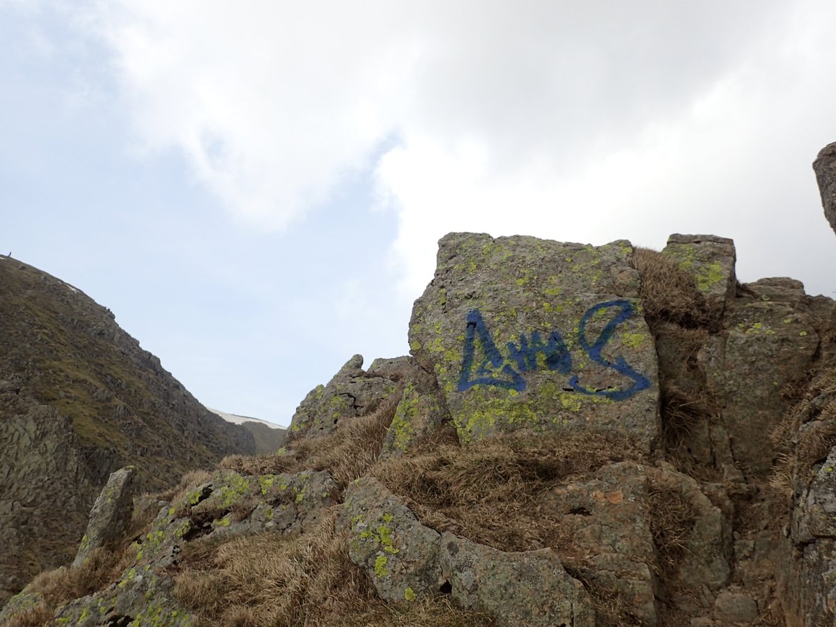 Fell Top Assessors tweet media