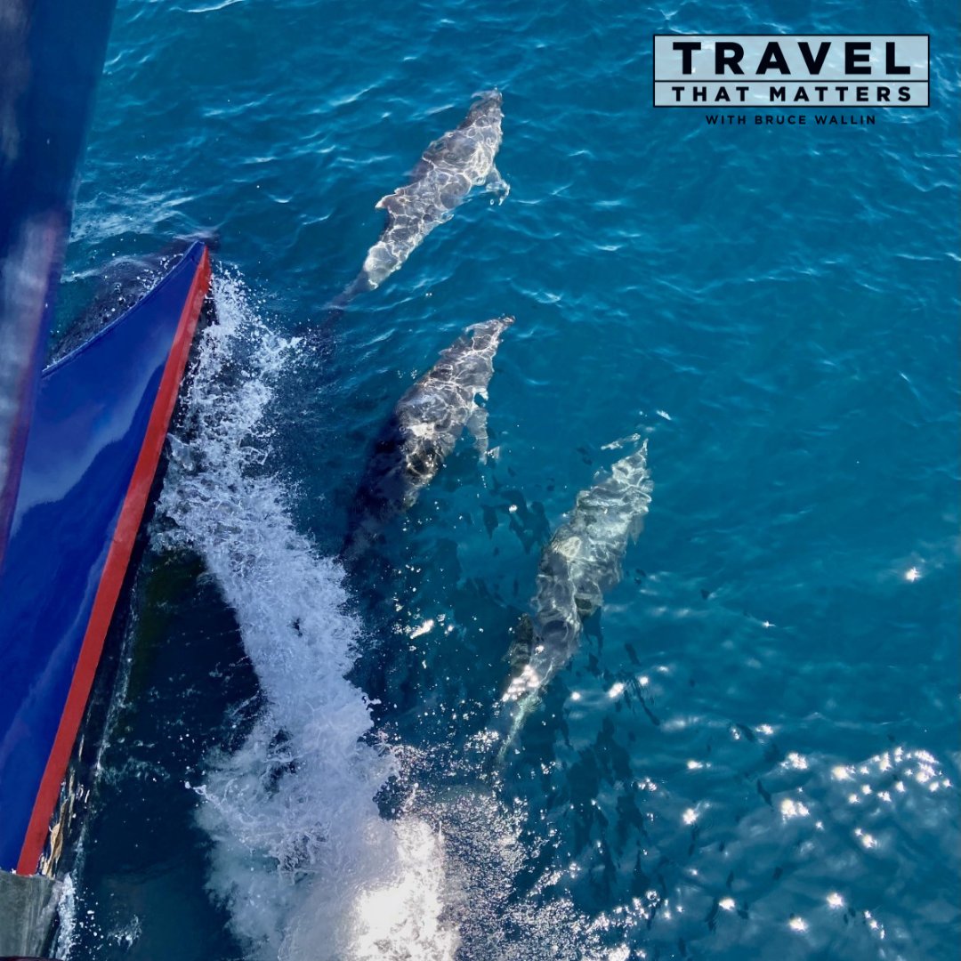 Ever dreamt of going to the #Galapagos? Tune into the new episode of Travel That Matters to hear all about this epic wildlife destination—and why it's even better than you think. link.chtbl.com/ttm <a href="/ecoventura/">Ecoventura_Galapagos</a> @travelwithbruce