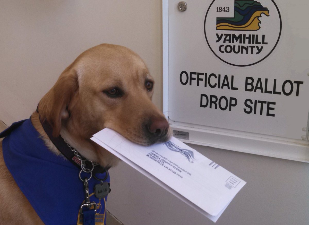 Yamhill County Voters, it’s #ElectionDay2022!
3/22/2022 - Vote by 8pm!
There is still time to vote! Drop off your ballot in any of our official ballot drop boxes or to our office no later than 8 pm tonight!
