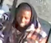 KeeleyFox29's tweet photo. In a city now rife with non-stop violence on people, this animal cruelty captured on video of young men saying “Good boy!” while a dog savagely attacked a family’s cat in Philadelphia’s Frankford neighborhood is horrific.   Authorities hope to identify them. @FOX29philly https://t.co/LQpWIWicXF