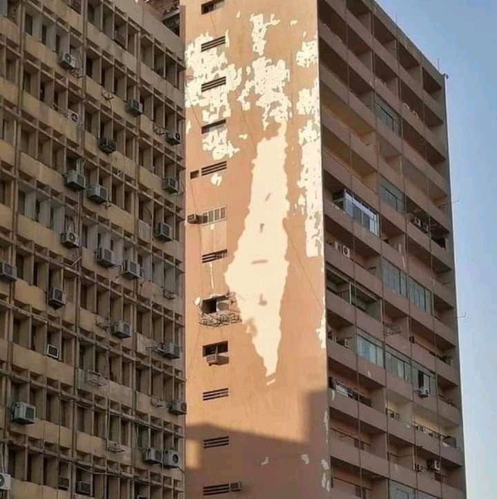 light_s_witch_'s tweet photo. You can see Palestine everywhere https://t.co/6g68qg00a6