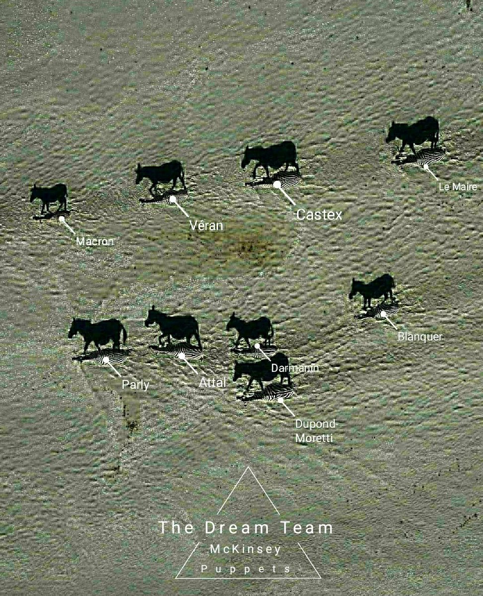 🐞Tellurik tweet media