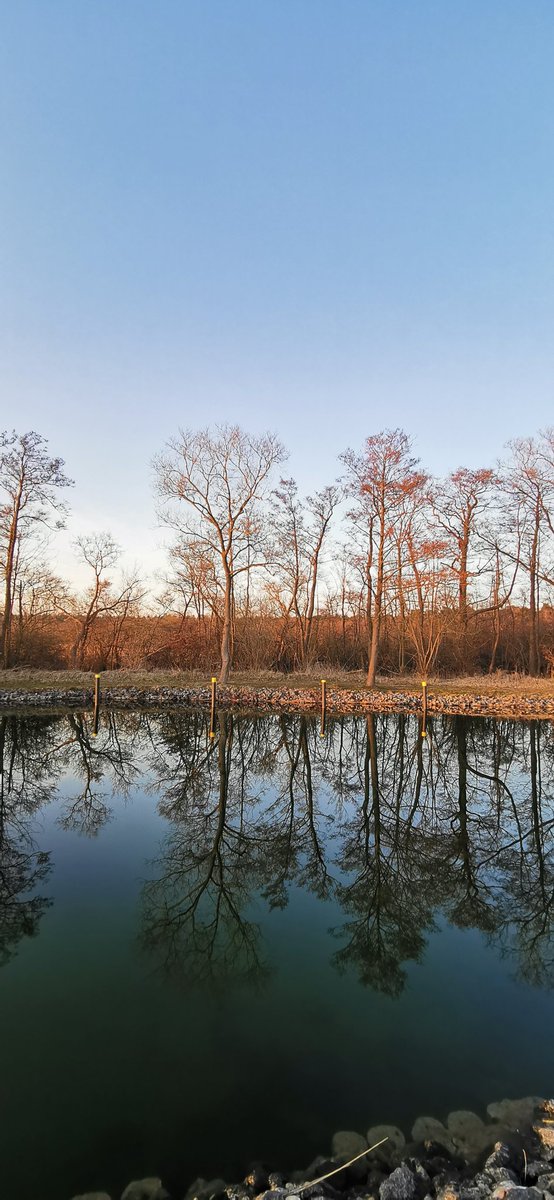 Kaltes klares Wasser und kein Wind geben den Bäumen einen Spiegel. #saisonstart #seenplatte #mecklenburg #deutschlandUrlaub