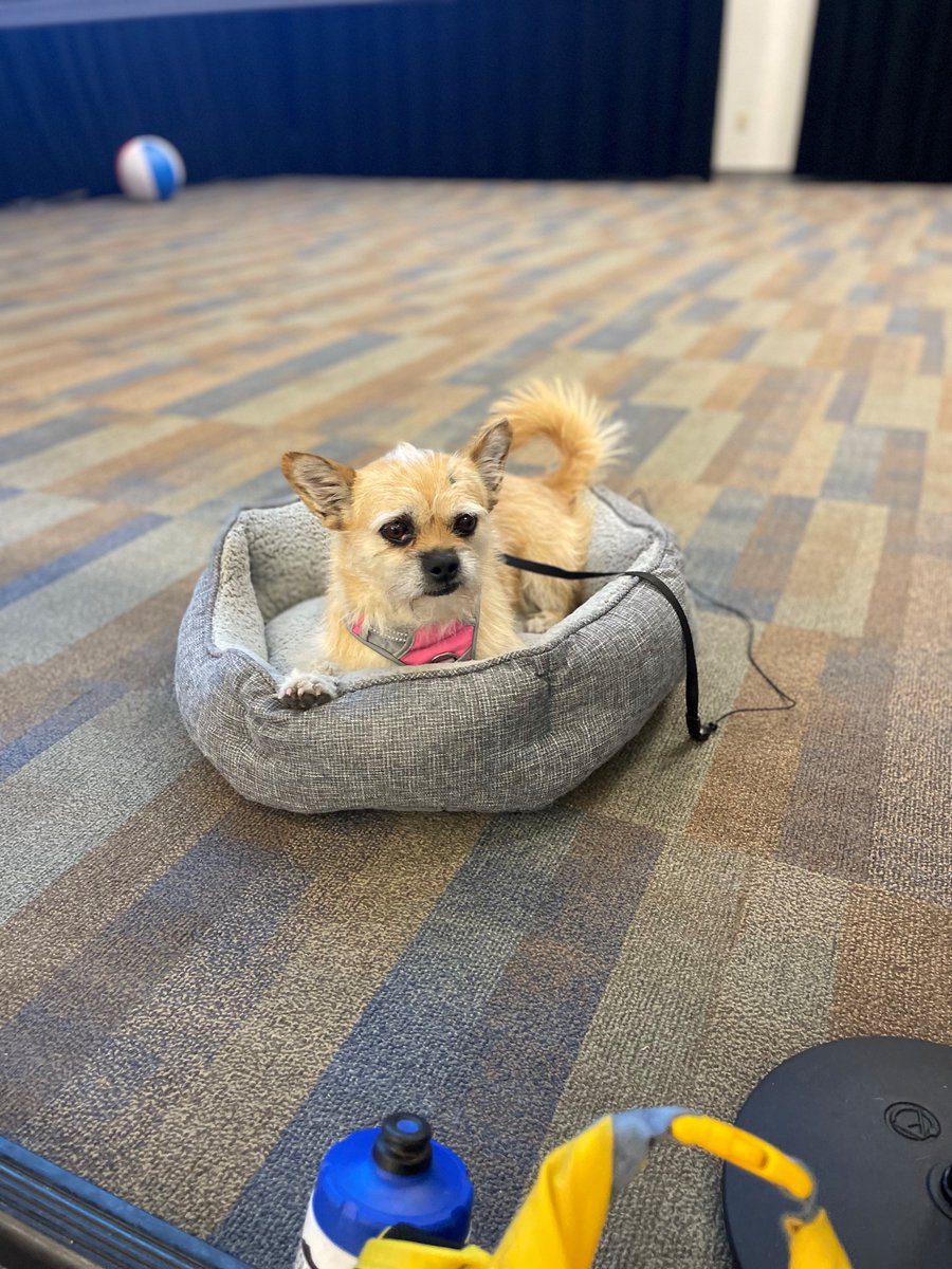 R.E. Good tweet media