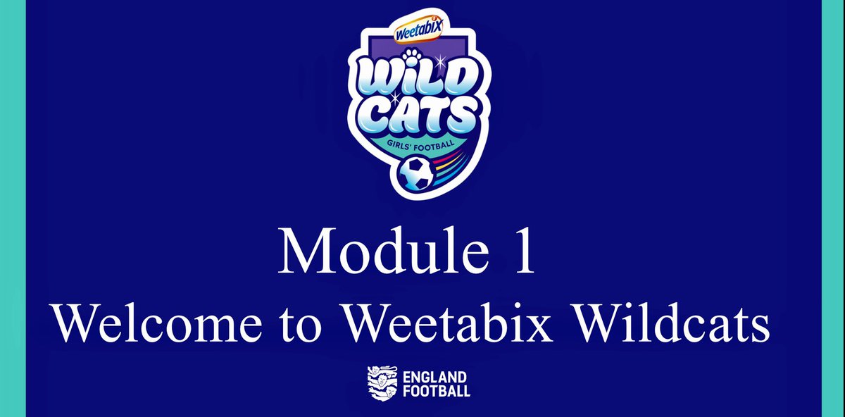 Tonight we welcomed 200 volunteers from the 2022 #WeetabixWildcats providers to module 1 of the workforce training!🐯⚽️