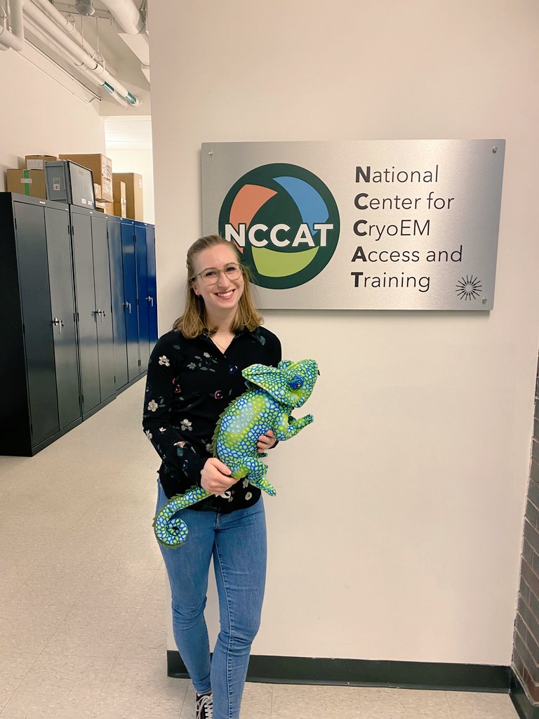 lisajungbluth's tweet photo. Today I was back at @NCCATinfo at @SEMC_NYSBC to earn my merit badge at the #vitrobot and for autoloader grid #clipping. Picked up a lot of new tips and tricks. Can't wait to try them at @SachseGroup. https://t.co/SSW0Yb8G89