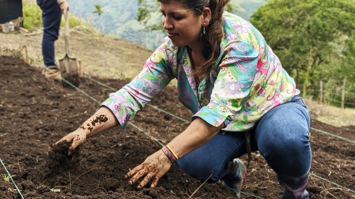 Serraniagua's tweet photo. Compartimos algunas imagenes del último encuentro del Curso de Agricultura Orgánica en la Reserva Natural Canaán, donde se trataron temas alrededor de la siembra, la teoría de la trofobiosis, los insectos controladores y el diseño de huertas. 
#agricutura #siembra #huertaorganica https://t.co/m9YgADJeWI