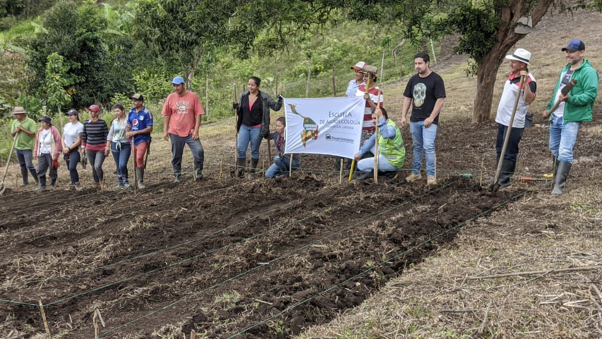 Serraniagua's tweet photo. Compartimos algunas imagenes del último encuentro del Curso de Agricultura Orgánica en la Reserva Natural Canaán, donde se trataron temas alrededor de la siembra, la teoría de la trofobiosis, los insectos controladores y el diseño de huertas. 
#agricutura #siembra #huertaorganica https://t.co/m9YgADJeWI