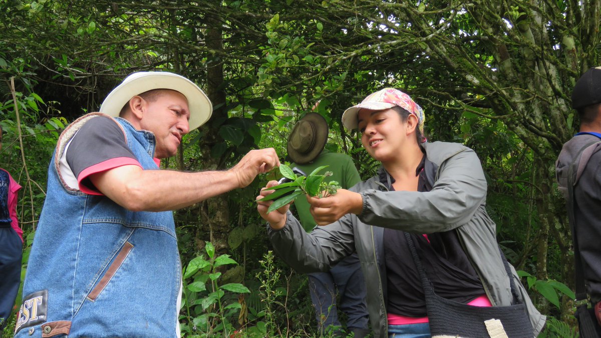 Serraniagua's tweet photo. Compartimos algunas imagenes del último encuentro del Curso de Agricultura Orgánica en la Reserva Natural Canaán, donde se trataron temas alrededor de la siembra, la teoría de la trofobiosis, los insectos controladores y el diseño de huertas. 
#agricutura #siembra #huertaorganica https://t.co/m9YgADJeWI