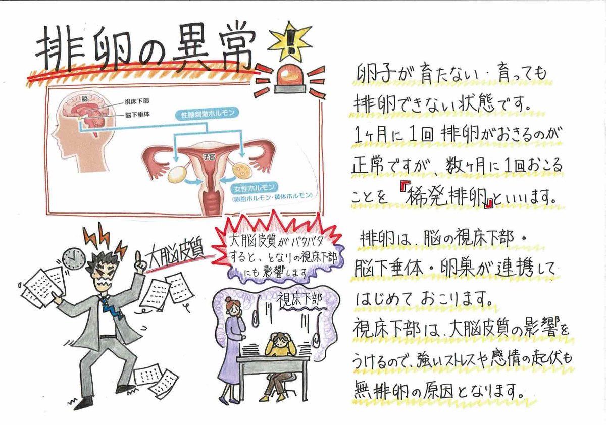 okazakihunin's tweet photo. 【180日で妊活のコツ】
排卵の異常　　排卵がスムーズに
いくために大事なのは
脳下垂体と視床下部のコンビネーション
ここが狂うと排卵も狂いやすくなります。
#不妊　#妊活　#ベビ待ち　#漢方　#岡崎 https://t.co/nISuP2URxB https://t.co/opoO81lZtj