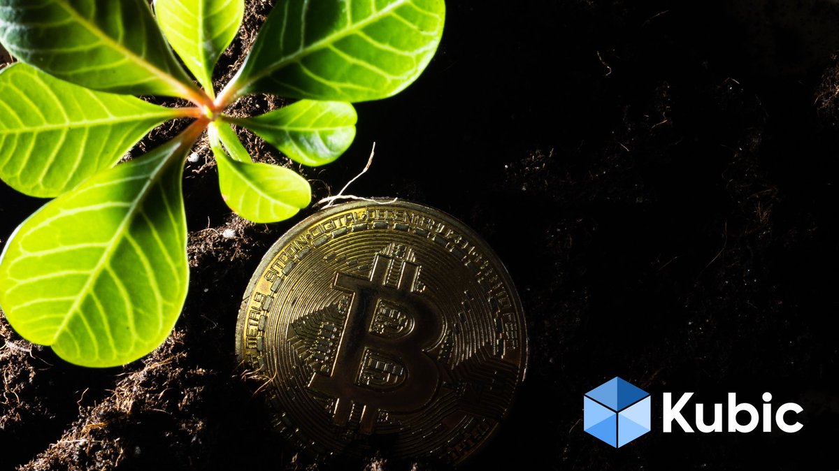 🌳Maybe this tree is small now, but if you water it well, take care of it and protect it.... It will grow.