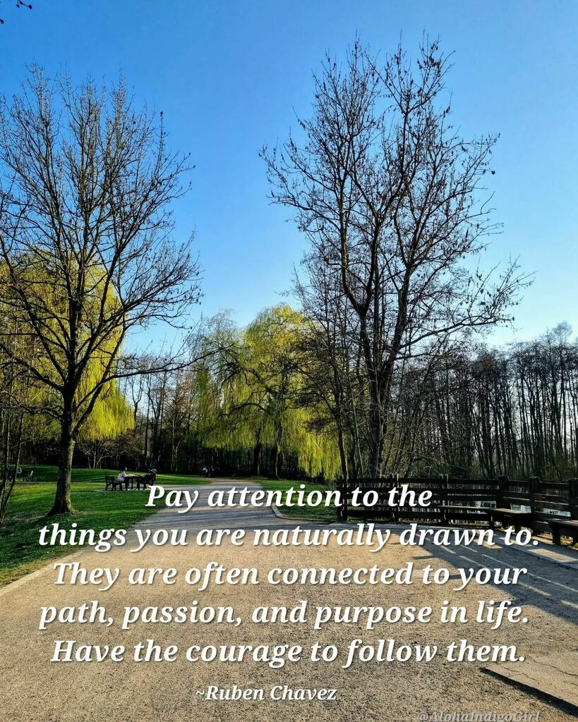 AlohaIndigoGirl's tweet photo. 🙏🏻
#passion #purpose #FollowYourHeart #havethecourage #life #lifelessons #naturephotography #beautifulnature https://t.co/WcJb9OT3Qe https://t.co/zxyZF9dpAq