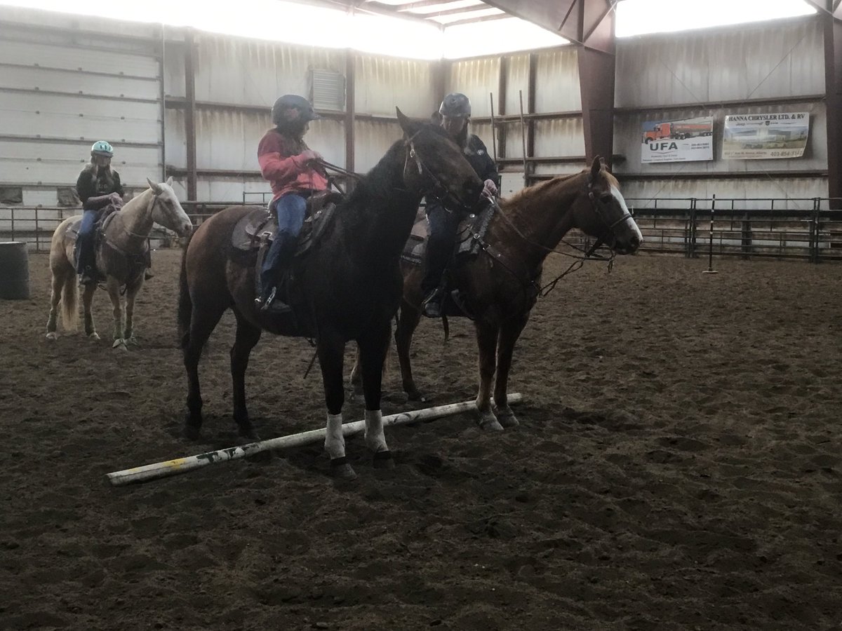 MrsKannekens's tweet photo. #PrairieRosePossibilities @PrairieRoseSD8 in action with REIN -Rodeo & Equine in the North https://t.co/9qPcJz7hOp
