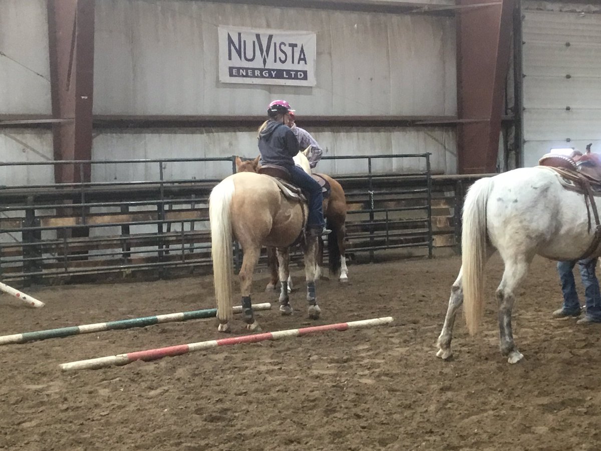 MrsKannekens's tweet photo. #PrairieRosePossibilities @PrairieRoseSD8 in action with REIN -Rodeo & Equine in the North https://t.co/9qPcJz7hOp