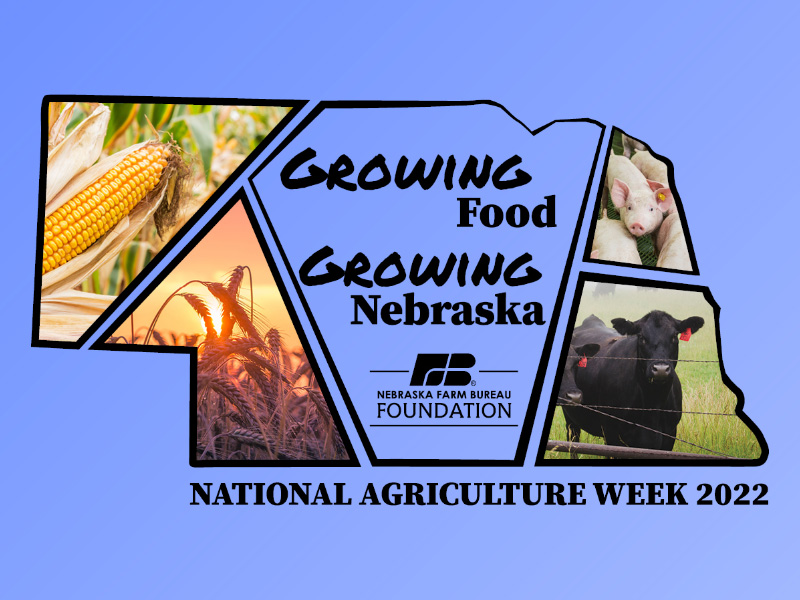 NEFarmBureau's tweet photo. Happy National Agriculture Day! Whether you live in a big city, small town, or farm or ranch, agriculture is a part of your everyday life. In Nebraska, one out of four jobs are related to agriculture. Agriculture begins with farming and ranching. #AgWeek #AgDay #GrowingNebraska https://t.co/PCz35MfwgW