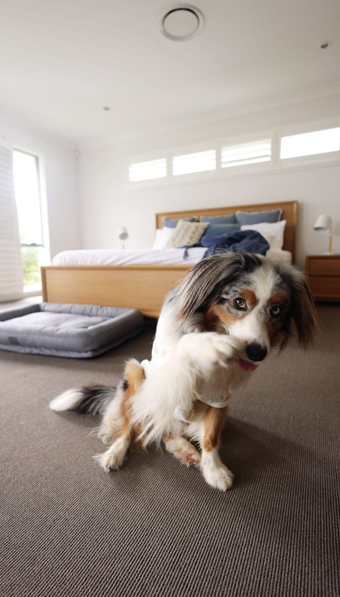 Anyone else still get nervous when they post ‘paid partnership’ content 🙈