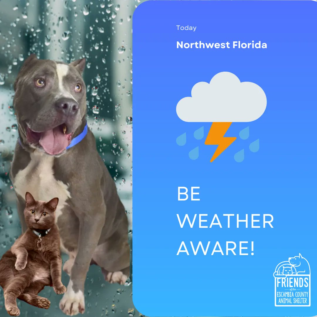 ECASFriends's tweet photo. Stay safe tonight, #Friends. https://t.co/jKG1JwSiOi