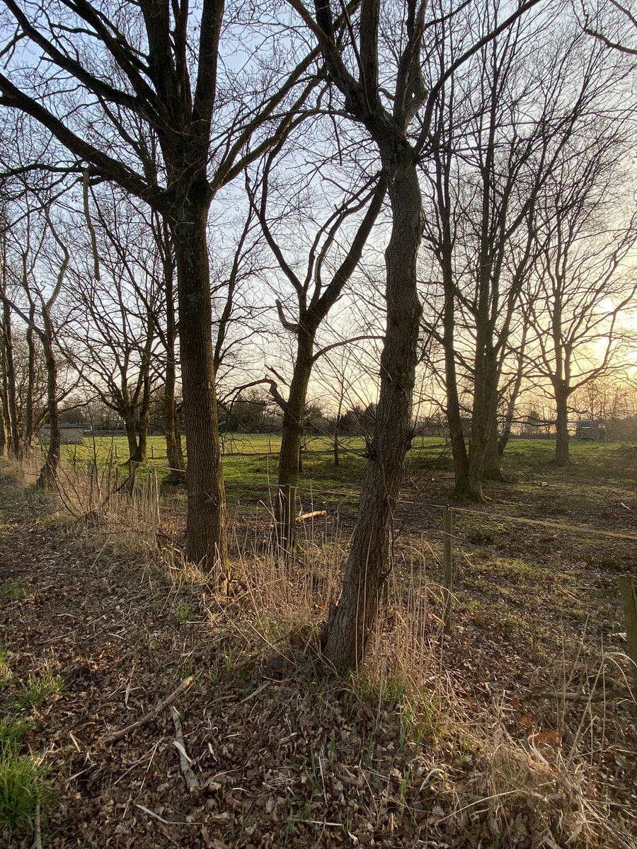 k_vanoverbeke's tweet photo. My day, basically🌙 https://t.co/0xi5t15LkB