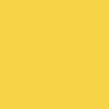 CmpleteAsshole's tweet photo. @kevin_dykow @0xMAYC We #YellowStrong #0xMAYC #0xBAKC #YellowMutants https://t.co/jw4TLJmBhl