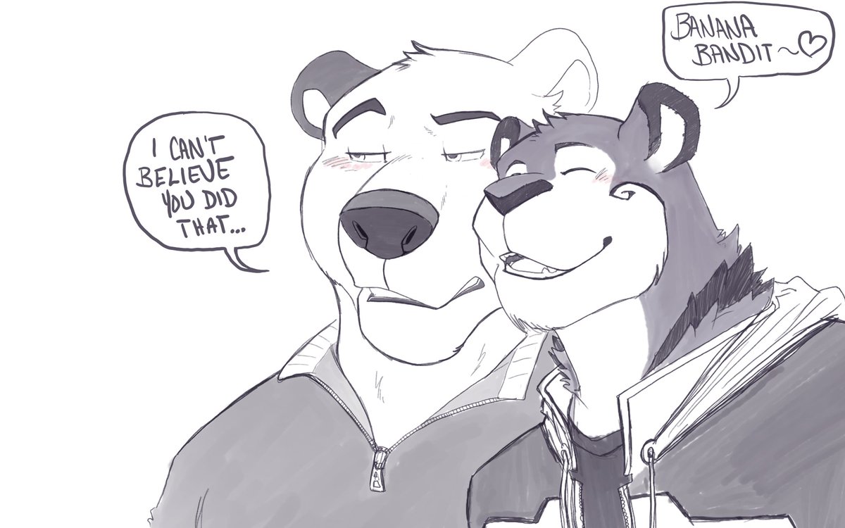 Kota (@Kota_IceBear) / Posts / X