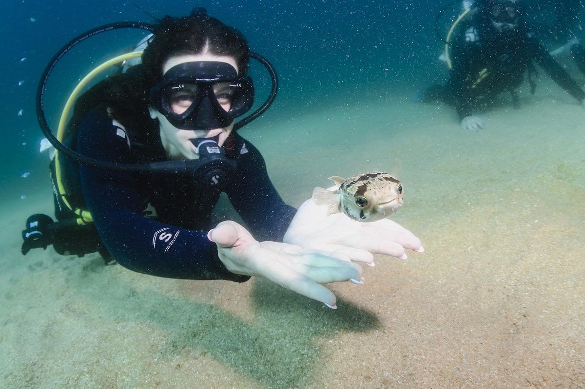 cabo_adventures's tweet image. Your vibe attracts your tribe ✨🥰🐟🐠🐡⁣
#caboadventures #livingmyadventure #cabo #loscabos #baja #mexico #mexicomagico #mexico🇲🇽  #mexicosorprendente #instamexico #vive_mexico #mexicotravel #seemexicotravel #visitbajasur #visitloscabos #SíALosCabos #scubadiving #scubadive