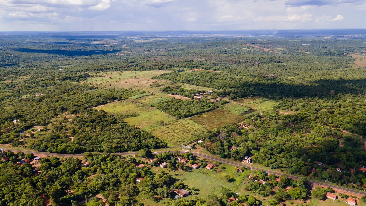 angelo_macchi's tweet photo. ¡TERRENO EN VENTA! 
Comparto con ustedes este hermoso terreno en la ciudad de Altos, de 12,8 ha, sobre la Ruta Luis Alberto del Paraná, a 1.200 mts. de la plaza central. Precio de Venta U$D. 700.000. 
Más información: 📲0971191904
¡Gracias por tu RT! https://t.co/iNrLafCYUJ