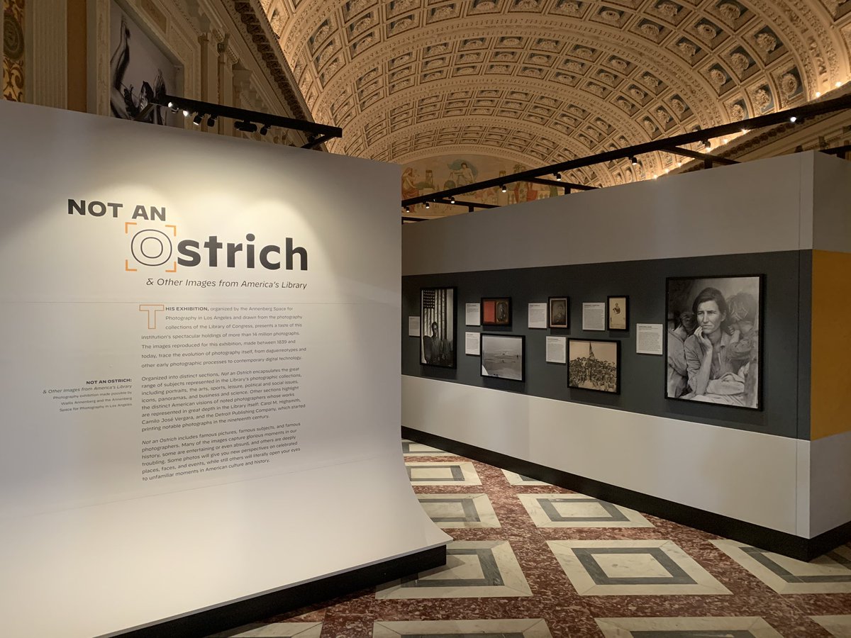 BrettZongker's tweet photo. What’s this? A press preview for a new exhibition for the first time in 2 years?! Ah, it’s good to be back! #NotAnOstrich #photography @librarycongress https://t.co/f4KPFOK7uS