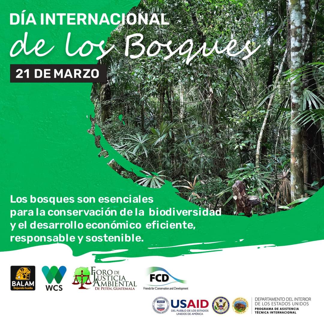 AsociacionBalam's tweet photo. Los bosques tienen vital importancia para nuestra subsistencia, proveen oxígeno y ayudan a conservar el recurso hídrico. Recogen y almacenan el agua, ayudan a evitar las inundaciones.
@WCS_Mesoamerica
@USAIDGuate
#forodejusticiaambientaldepeten
#DOIITAP https://t.co/2aWUY7lYOp
