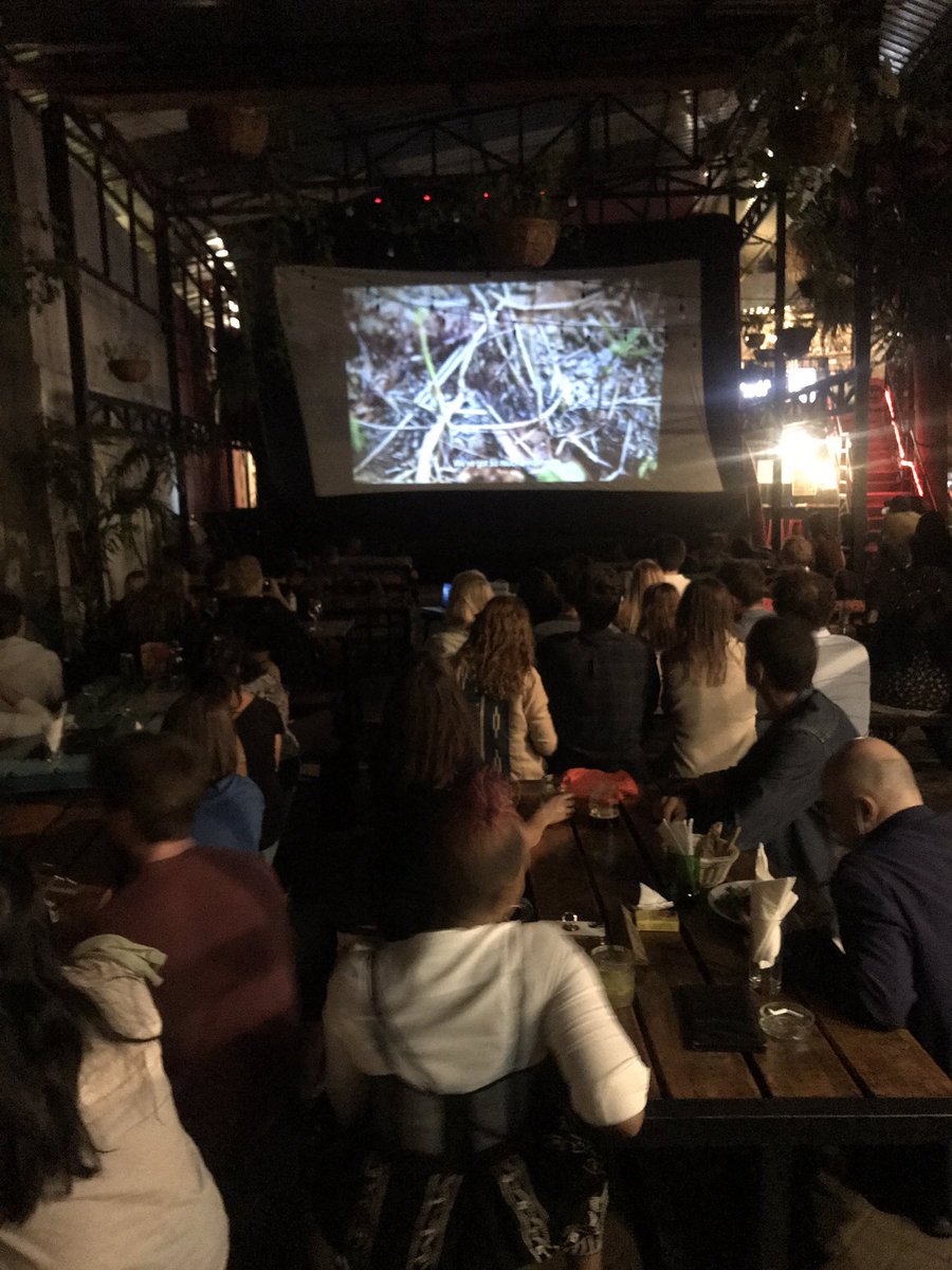 📽 The <a href="/IPAEastAfrica/">IPAEA</a> screenings are back 🎞

Happening now at <a href="/AlchemistBar254/">The Alchemist Bar</a>: screening and discussion of <a href="/TheLetterKenya/">The Letter-#WatunzeWazee</a>