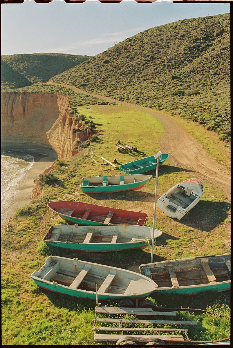 fieldmag's tweet photo. 23 film photos made on medium format AND 35mm film by the homie @brianchorski ?? Oh hell yes

https://t.co/vGKRDsWUi6 https://t.co/GqYzQEgMad