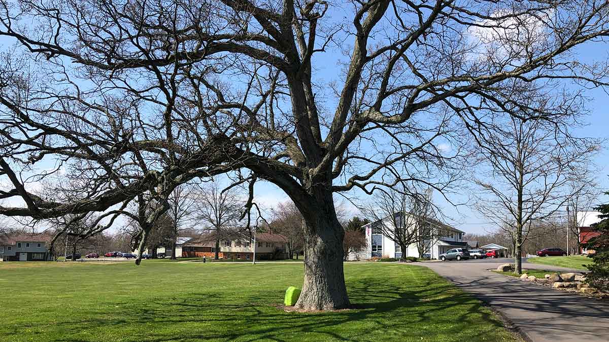 CCHOhio's tweet photo. Celebrating spring at #CCHO! https://t.co/VYV3wzyTNM