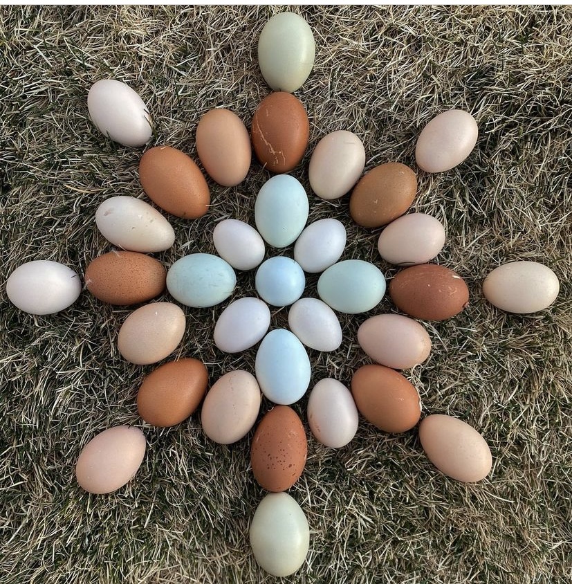 The Consumer Brand tweet media