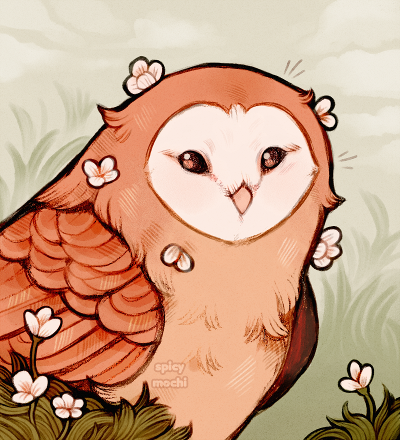 spicy_mochi's tweet photo. flower owl https://t.co/u6CcuUUNyW