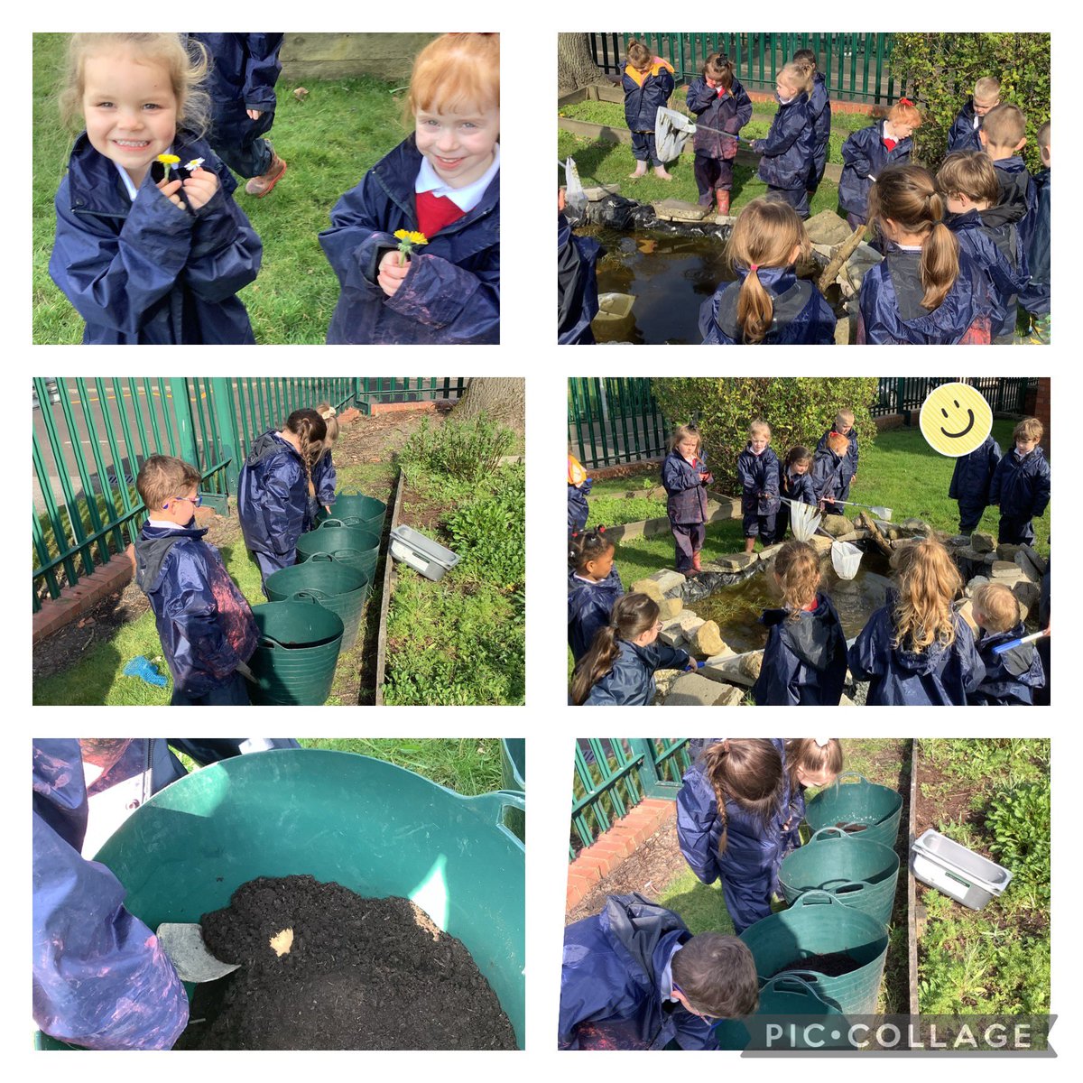 Cleaning out the pond and planting some potatoes in Forest school this sunny afternoon @FallaParkSchool 🥔☀️

@Miss_Carr_Falla @ReayLeandramiss <a href="/MrsHallFalla/">Janet Hall</a> 
#EYFS #Forestschool