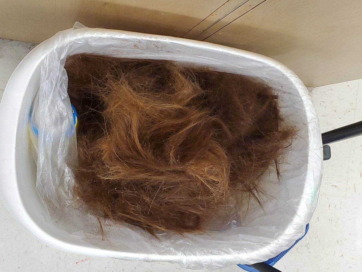 Shearious1's tweet photo. Lot of clipper cutting going on in powhatan high school cosmetology https://t.co/R4myJkOJ0b
