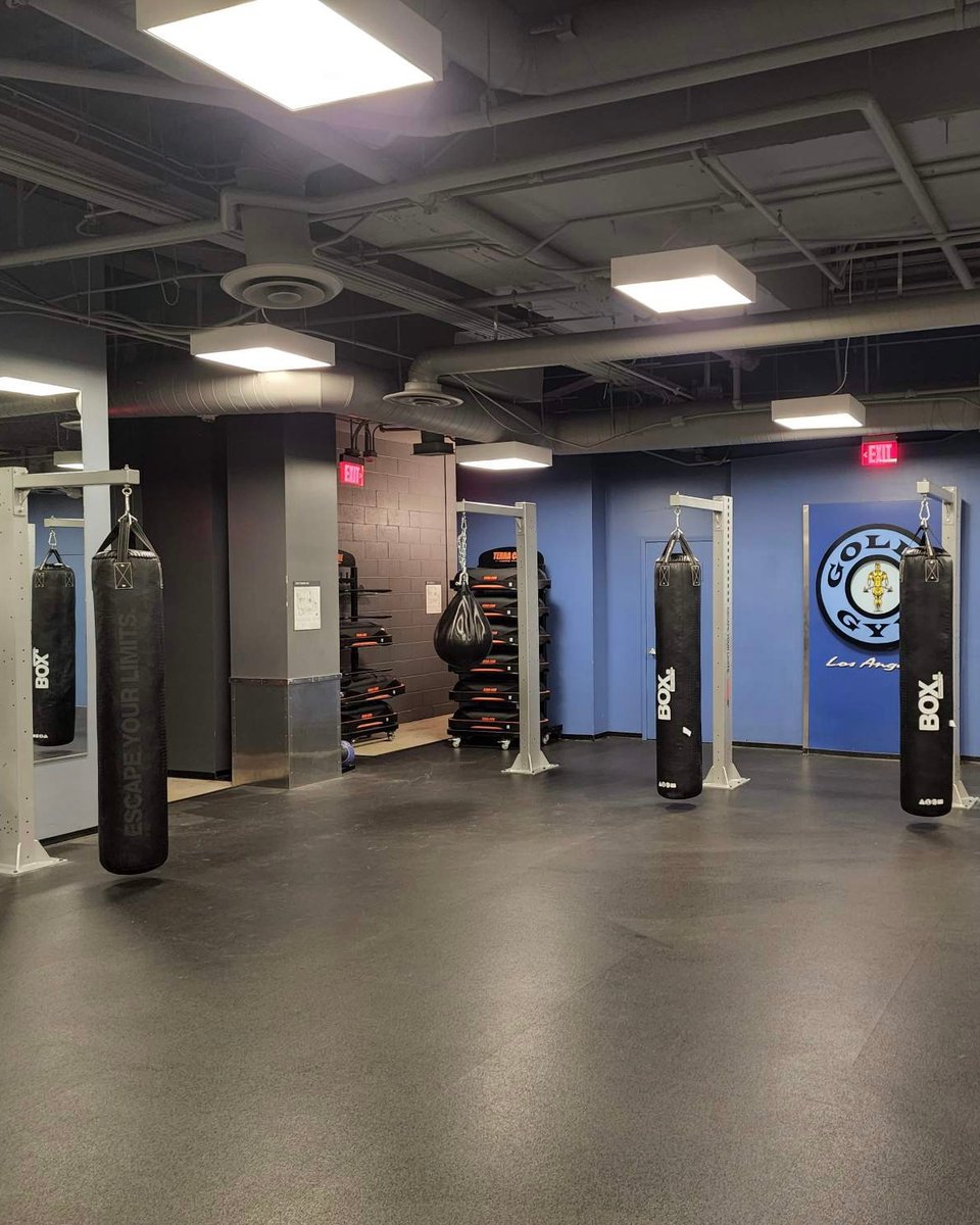 GoldsGymSoCal's tweet photo. New Equipment Alert! 

Gold's Gym #downtownla just received some amazing upgrades! Fully equipped with our Signature Playground Turf Area, New Lifting Racks, and Heavy Boxing Bags. The best just got even BETTER! 

#goldsgymsocal #dtla #figat7th #newequipment https://t.co/ymeUvaVn7E