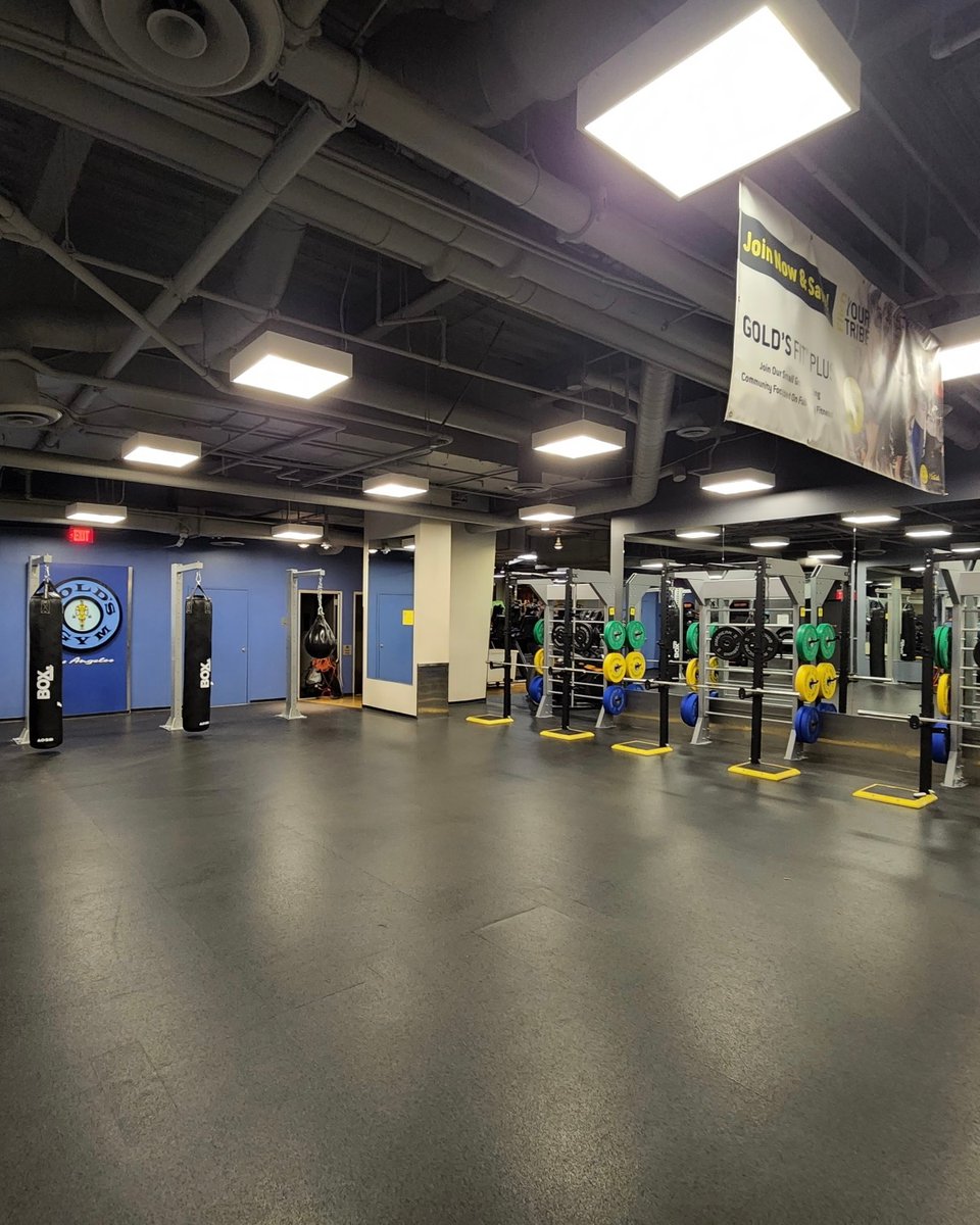 GoldsGymSoCal's tweet photo. New Equipment Alert! 

Gold's Gym #downtownla just received some amazing upgrades! Fully equipped with our Signature Playground Turf Area, New Lifting Racks, and Heavy Boxing Bags. The best just got even BETTER! 

#goldsgymsocal #dtla #figat7th #newequipment https://t.co/ymeUvaVn7E