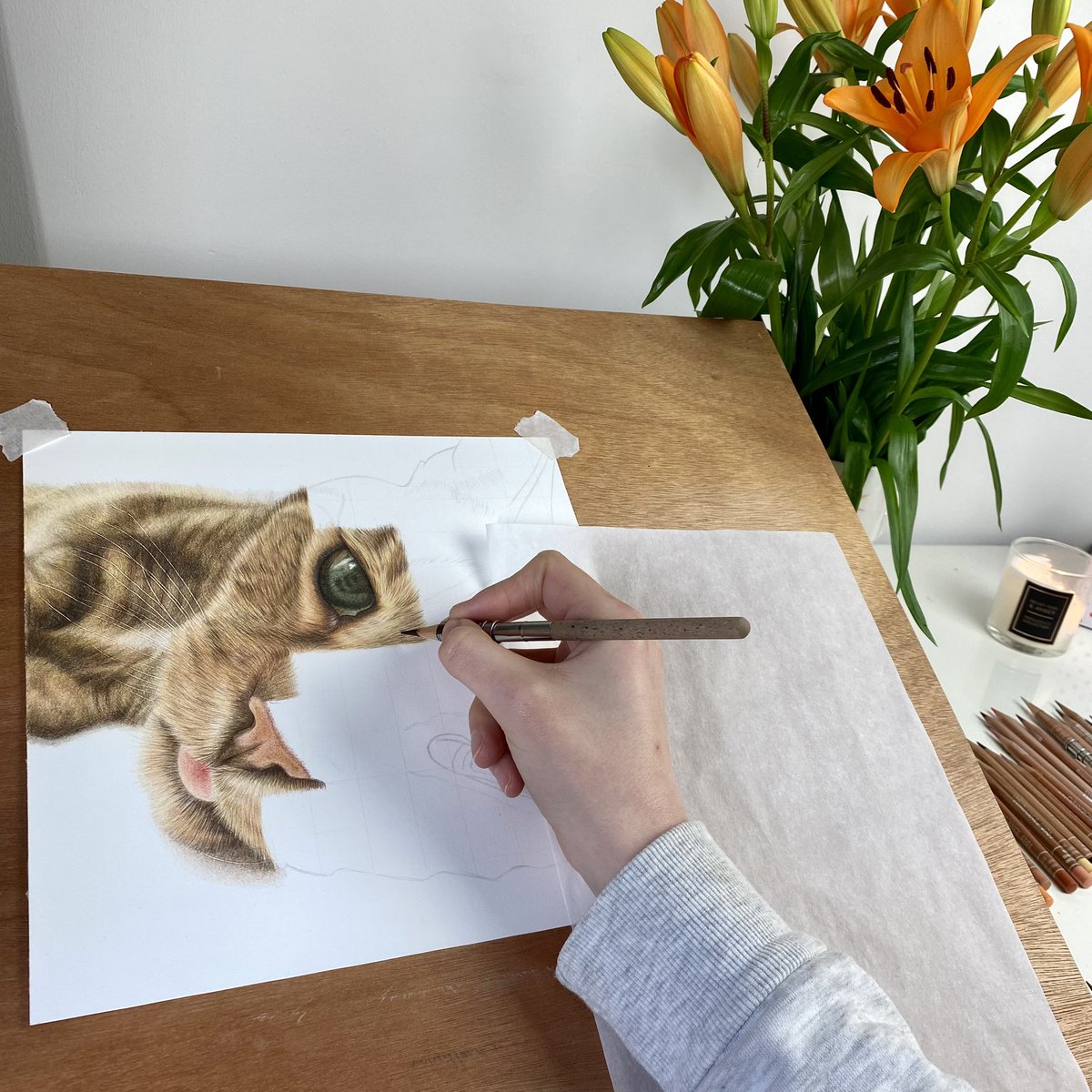 ems_pawtraits's tweet photo. Cats, flowers, pencils and candles 😌

I’ve had a lovely chilled day today! Window open, candle burning, cracking on with a commission and my lilies are starting to bloom 🌼

How’s everyone’s Tuesday going?
#CatsOfTwitter #CatsOnTwitter #catlovers #CatsLover https://t.co/OdJO7Q3BKW