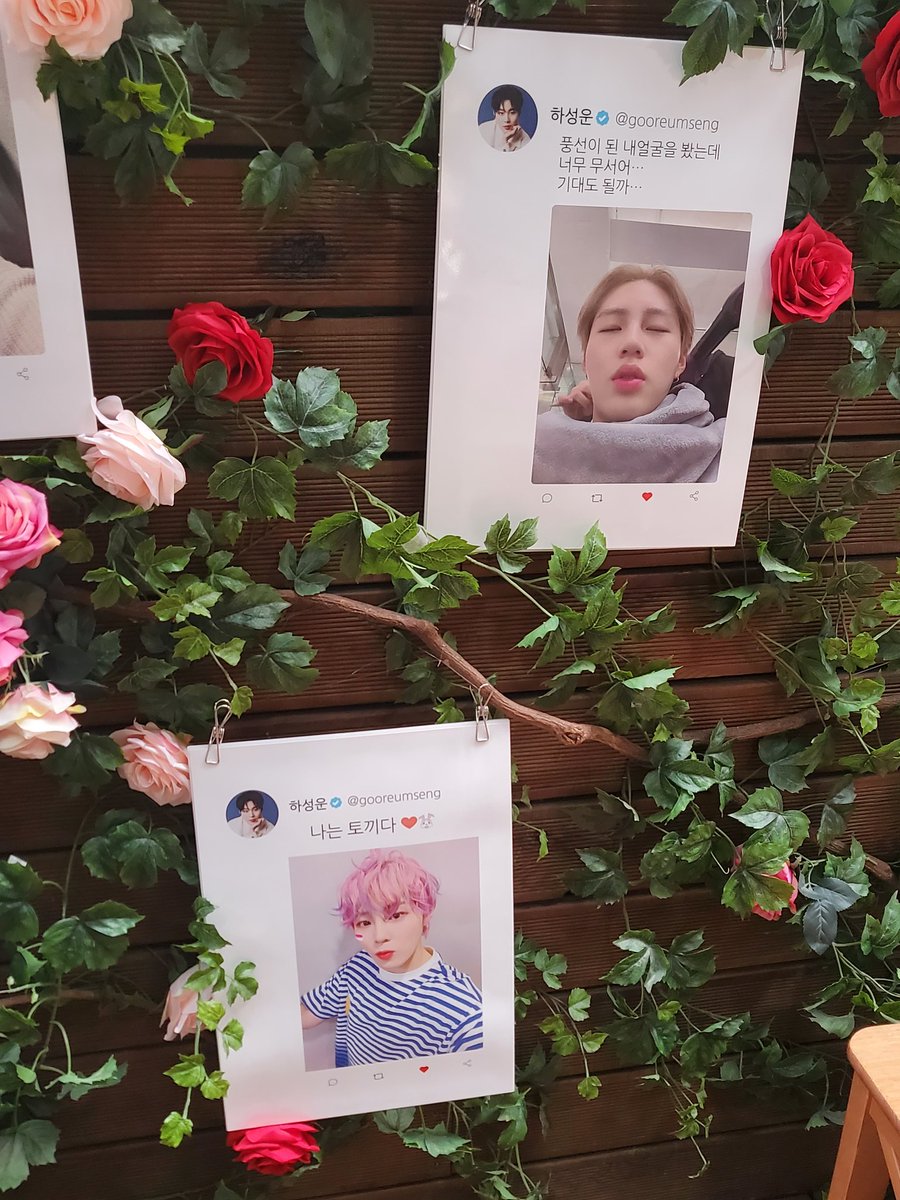 1.까페밤비<a href="/hbd_hsw/">𝑳𝒐𝒗𝒆 𝒚𝒐𝒖𝒓 𝒔𝒐𝒖𝒏𝒅</a>
일욜 선착특전 노렸지만 30분전 이미 탈락ㅋ부지런한 하늘님덜👍 젤 가보고 싶던 곳이라 1번으로 방문! 아기자기 이쁘게 꾸며져 있고 케잌 비쥬얼도 맛도 환상‼️ 2개나 더 포장해옴 ㅇㅇ하느루는 항상 마니 먹으니까
#성운이의_순간들을_새겨둘게 #하성운