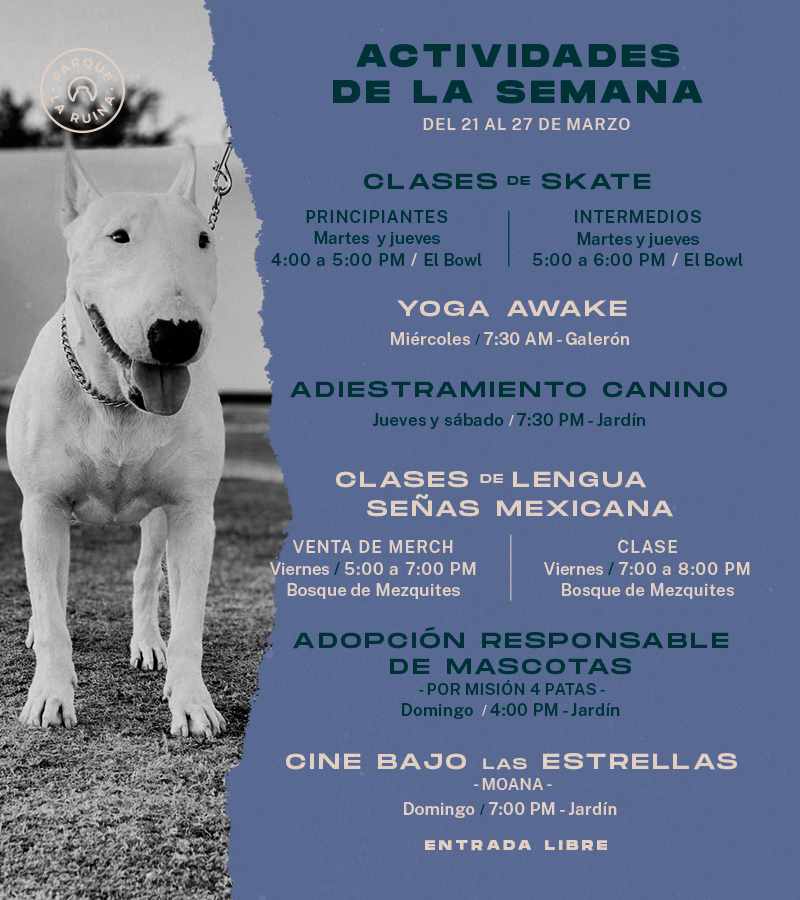 La semana en el Parque: buena música, buenas clases, y perritos, muchos perritos 😌🐩