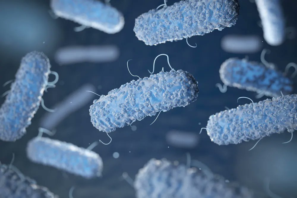 Nueva convocatoria de nuestro departamento de formación:
CURSO DE LEGIONELLA INICIAL PRESENCIAL A TRAVÉS DE AULA VIRTUAL 

Título oficial válido en todo el territorio nacional.

Más información: formacion.es@alsglobal.com (tlf. 923 19 33 43)

buff.ly/3IwmjXa