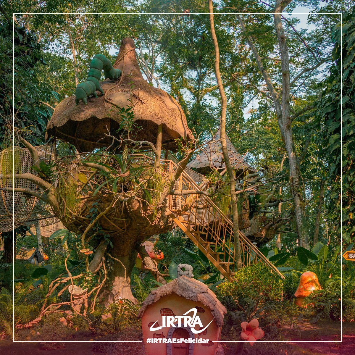 IRTRAfelicidar's tweet image. En el parque Xejuyup quedarás encantado con la naturaleza, vivirás y verás cosas sorprendentes. ¡Este mes celebramos su aniversario! 🥳 🎉🎊🎈

#Xejuyup #InciaDeCero #Persevera #ComparteLaFelicidar