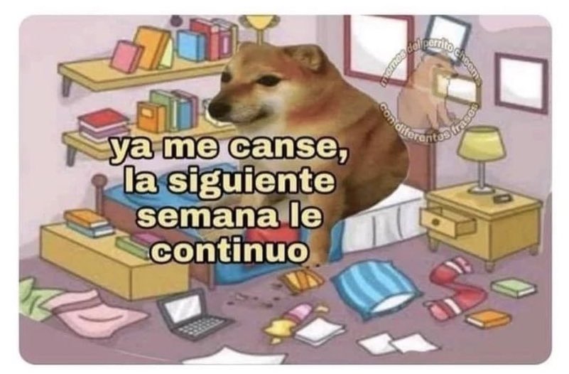 Cuando arreglo mi closet: