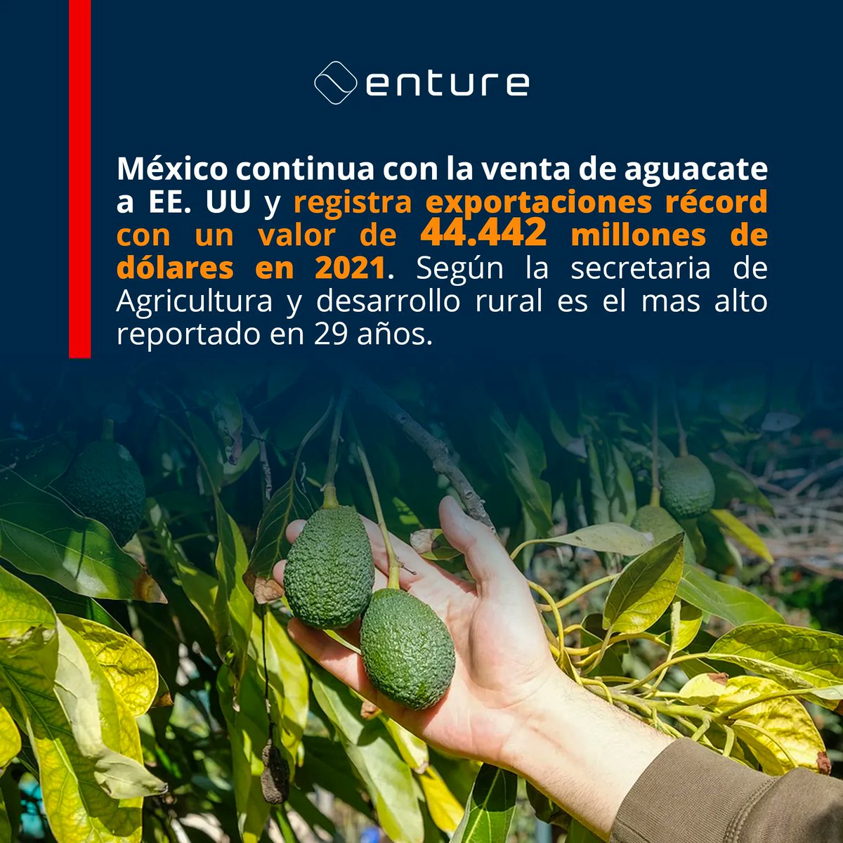 EntureSB's tweet photo. Las exportaciones crecieron un 12.44% frente a 2020. 
Nota completa en: https://t.co/bEl2n6rmxK

#Agronegocios #Agribusiness https://t.co/njxr887rvU