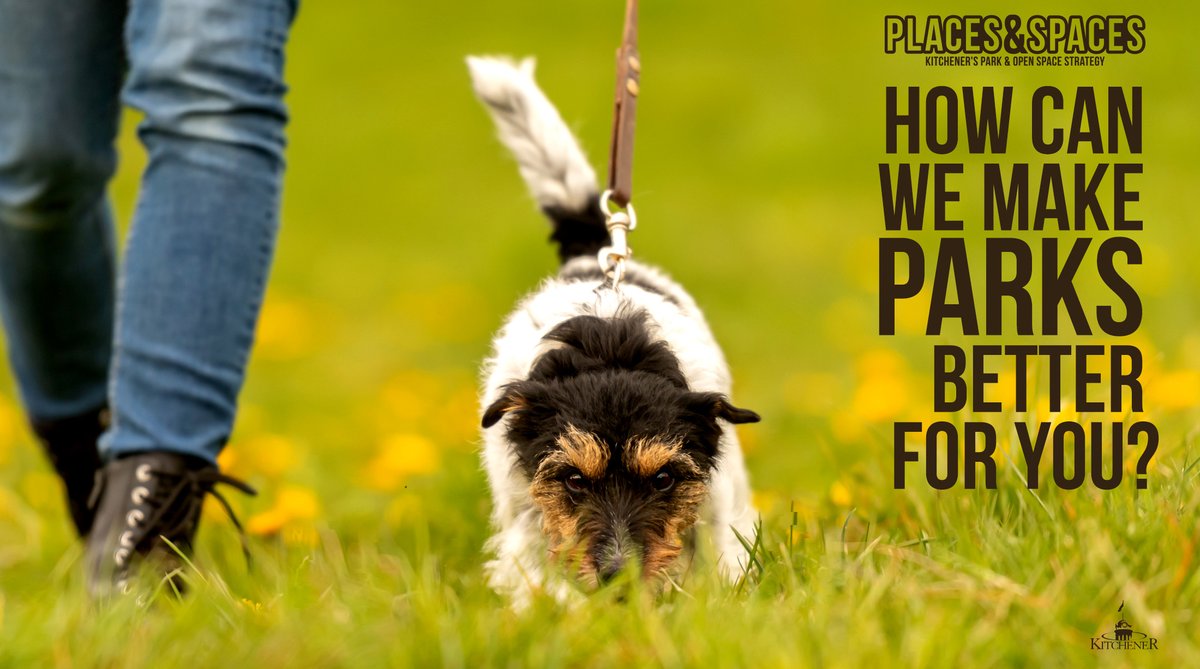 Do you use #KitchenerParks? We want to know what you think about:

🐶 pets in parks
🌳 renewing parks
🌱 dedications
🪧 sponsorship and naming of parks

This survey closes on April 8: engagewr.ca/placesandspaces