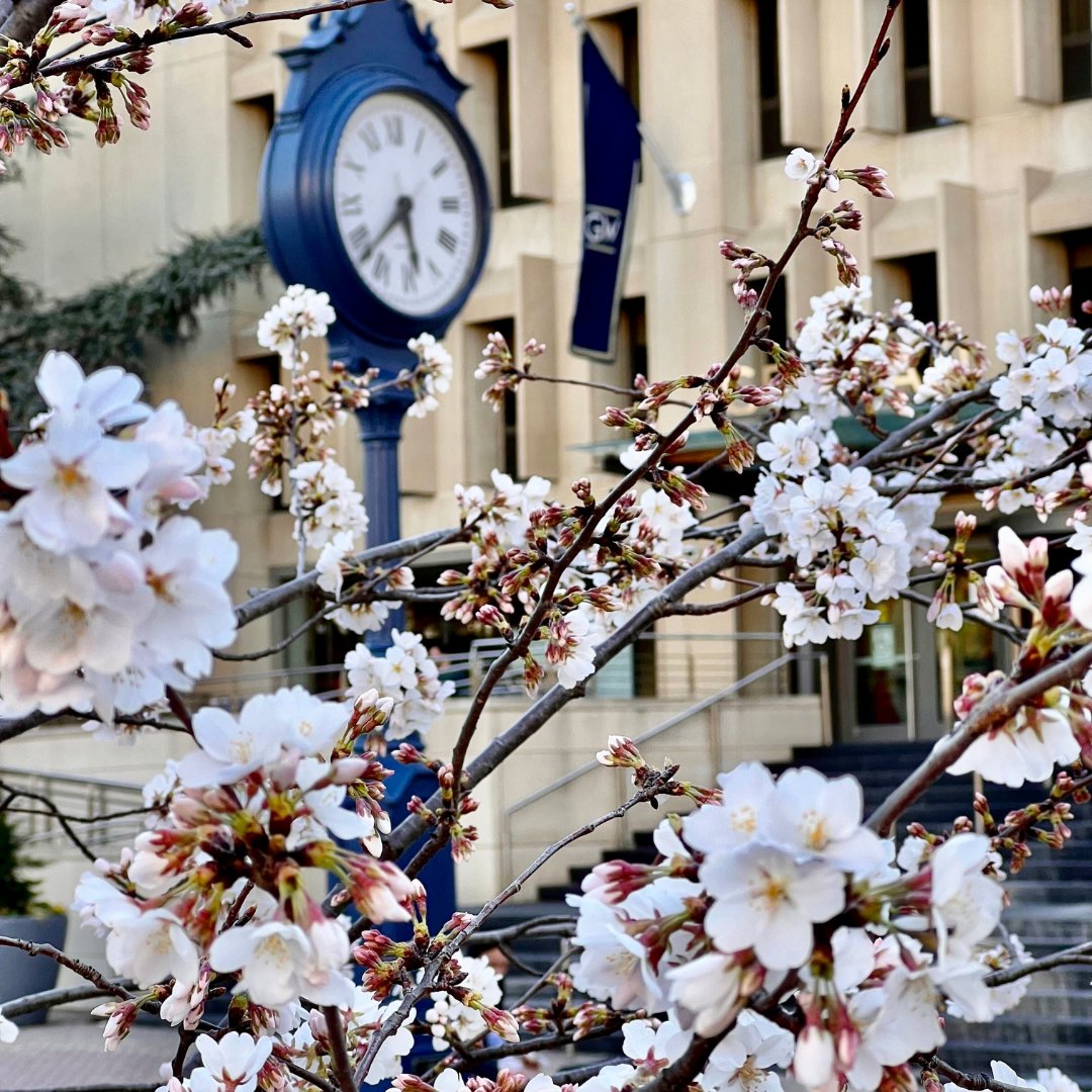 Raise High the Buff and Bloom 🌸