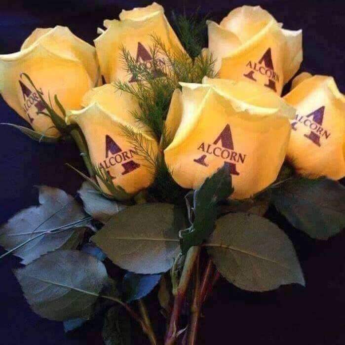 Pattons_Alcorn's tweet photo. Our deepest prayers and condolences to the grieving families & friends of the Alcorn students involved in last night's accident.
๐๐ฝ #AlcornFamily https://t.co/xKRcDmdnG4